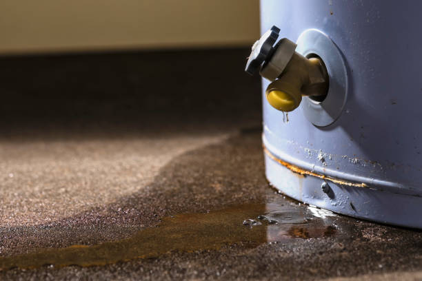 Best Water damage restoration near me  in Raceland, KY