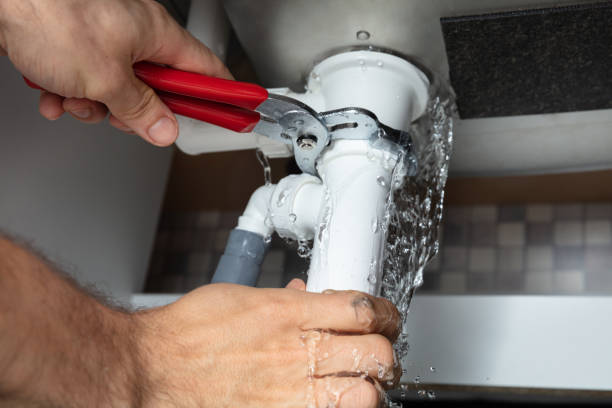 Best Professional water damage repair  in Raceland, KY