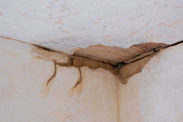 Best Sewage cleanup and water damage restoration  in Raceland, KY