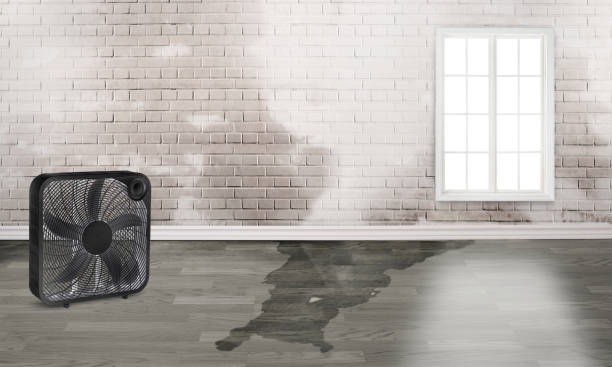 Sewage cleanup and water damage restoration in KY