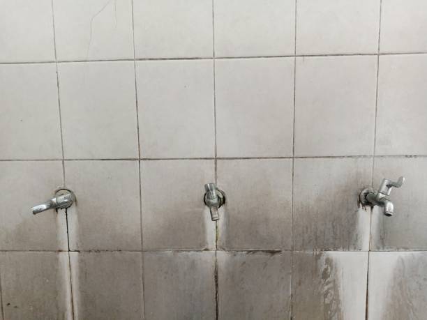 Best Flood damage cleanup  in Raceland, KY