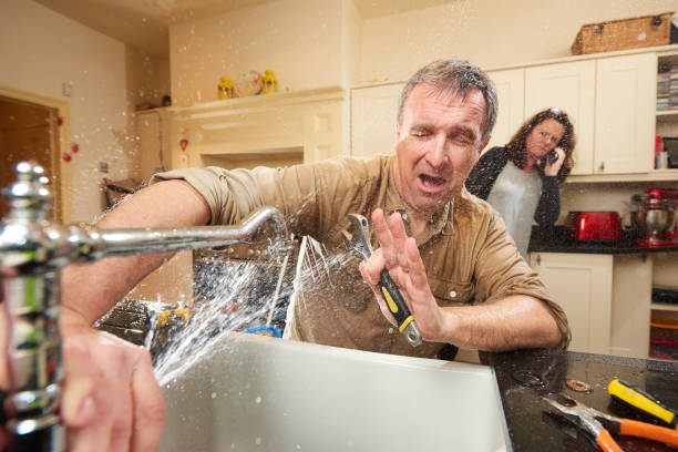 Best Basement water damage restoration  in Raceland, KY